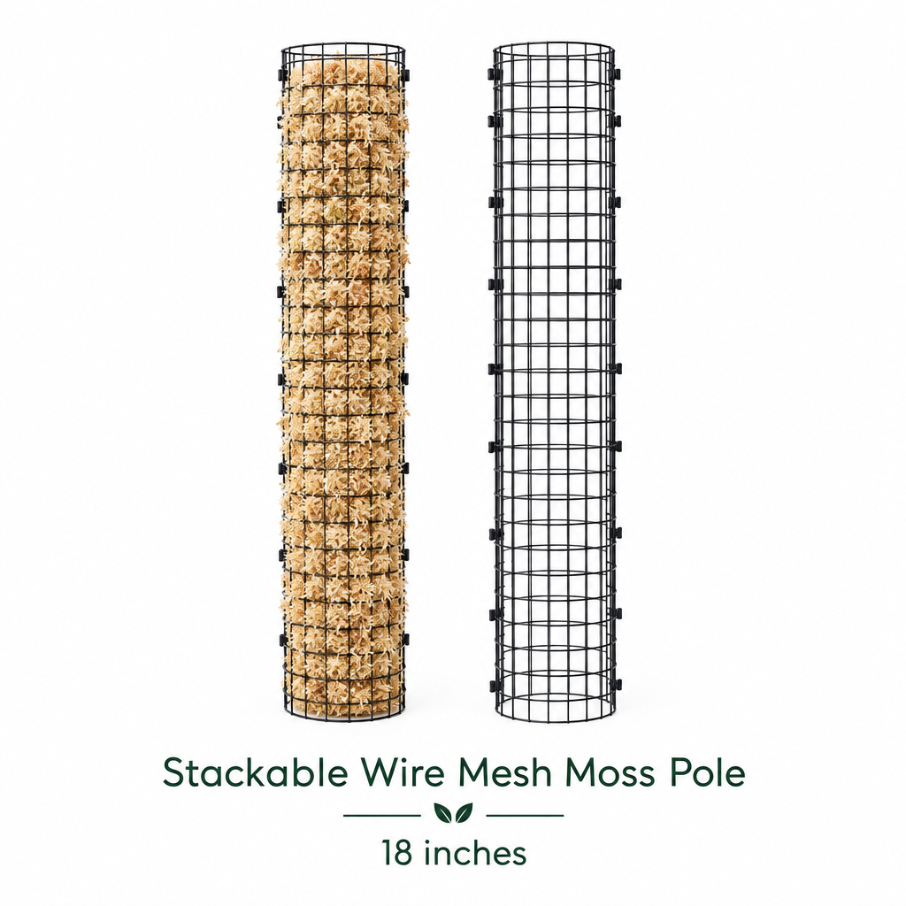18" Moss Pole — Clean Product