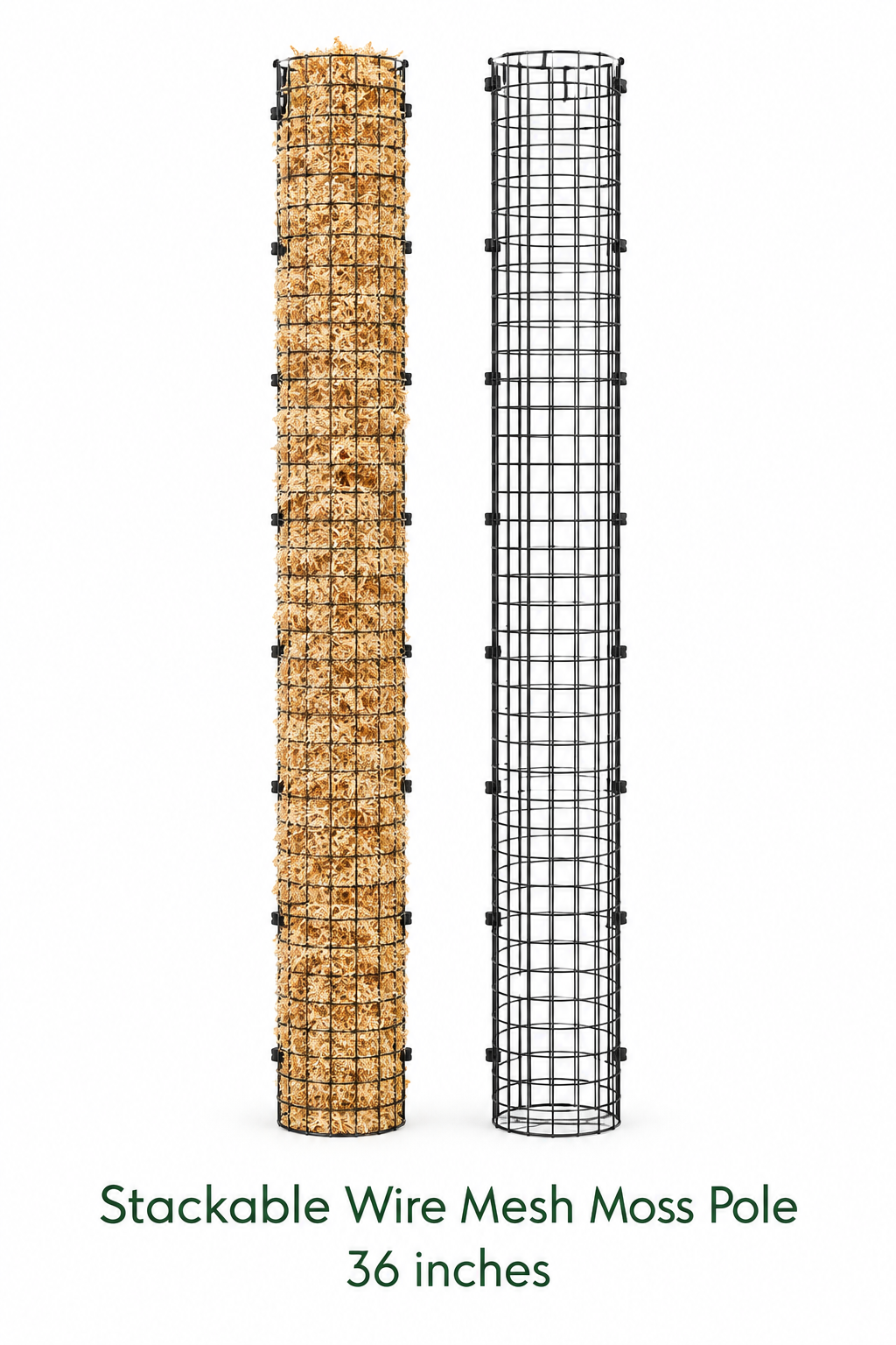 36" Moss Pole — Filled + Empty on White