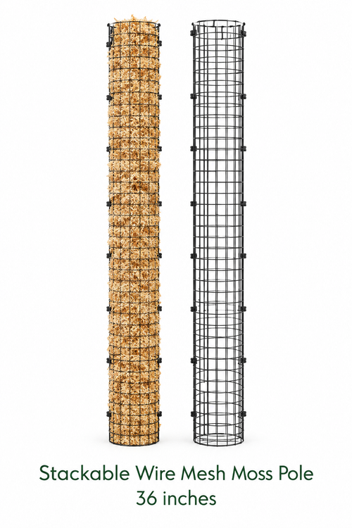 36" Moss Pole — Filled + Empty on White