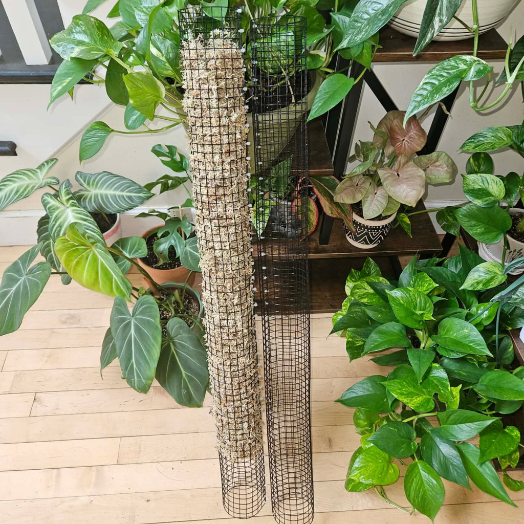 Stackable Wire Mesh Moss Pole 36in