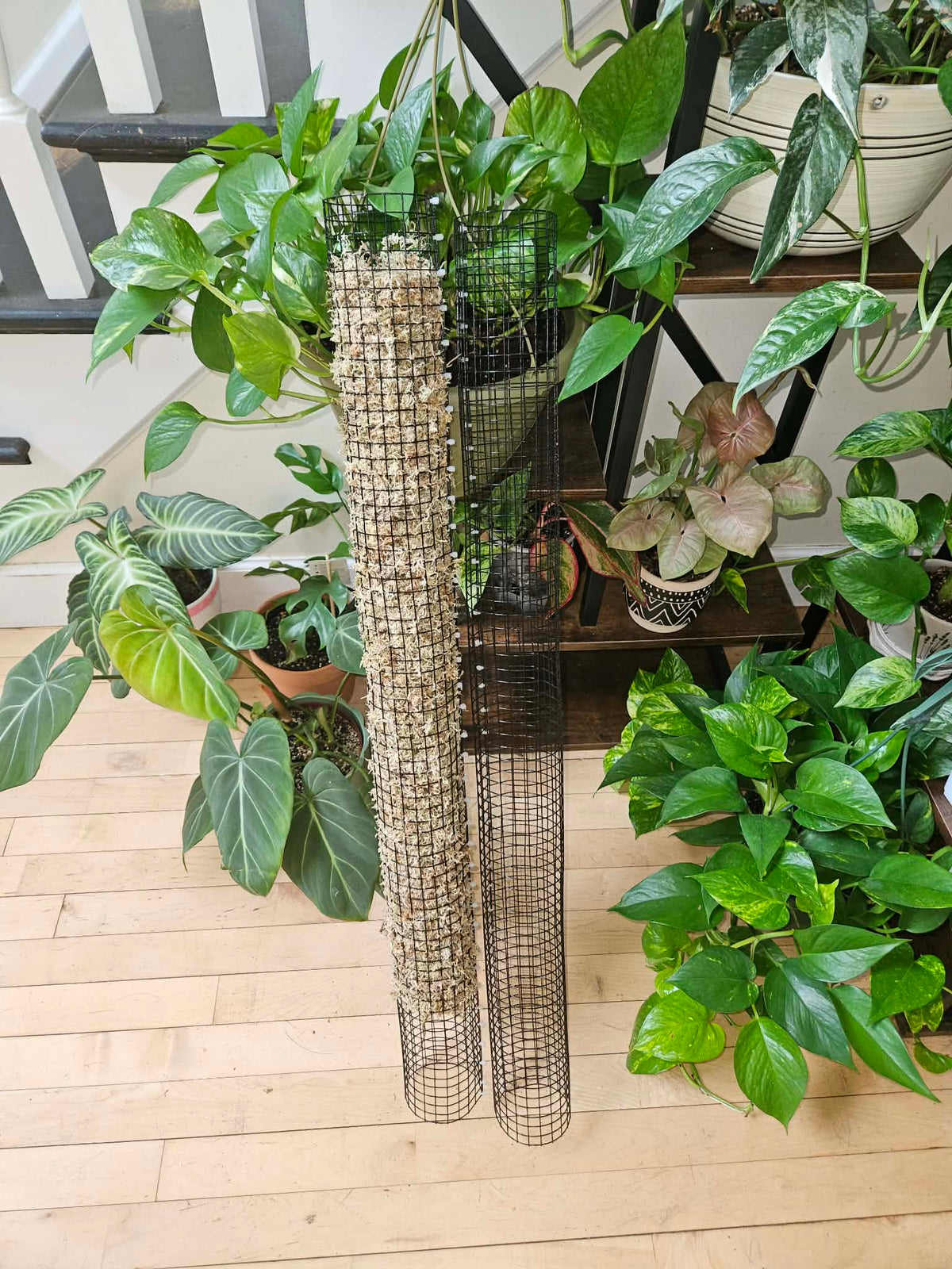 Stackable Wire Mesh Moss Pole 36in