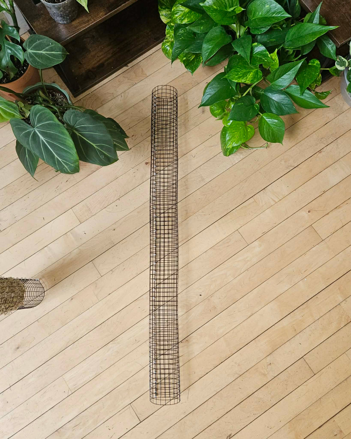 Stackable Wire Mesh Moss Pole 36in