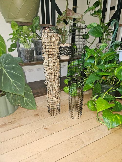 Stackable Wire Mesh Moss Pole 18 Inch