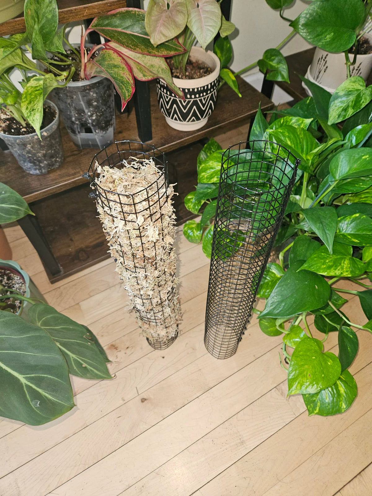 Stackable Wire Mesh Moss Pole 18 Inch