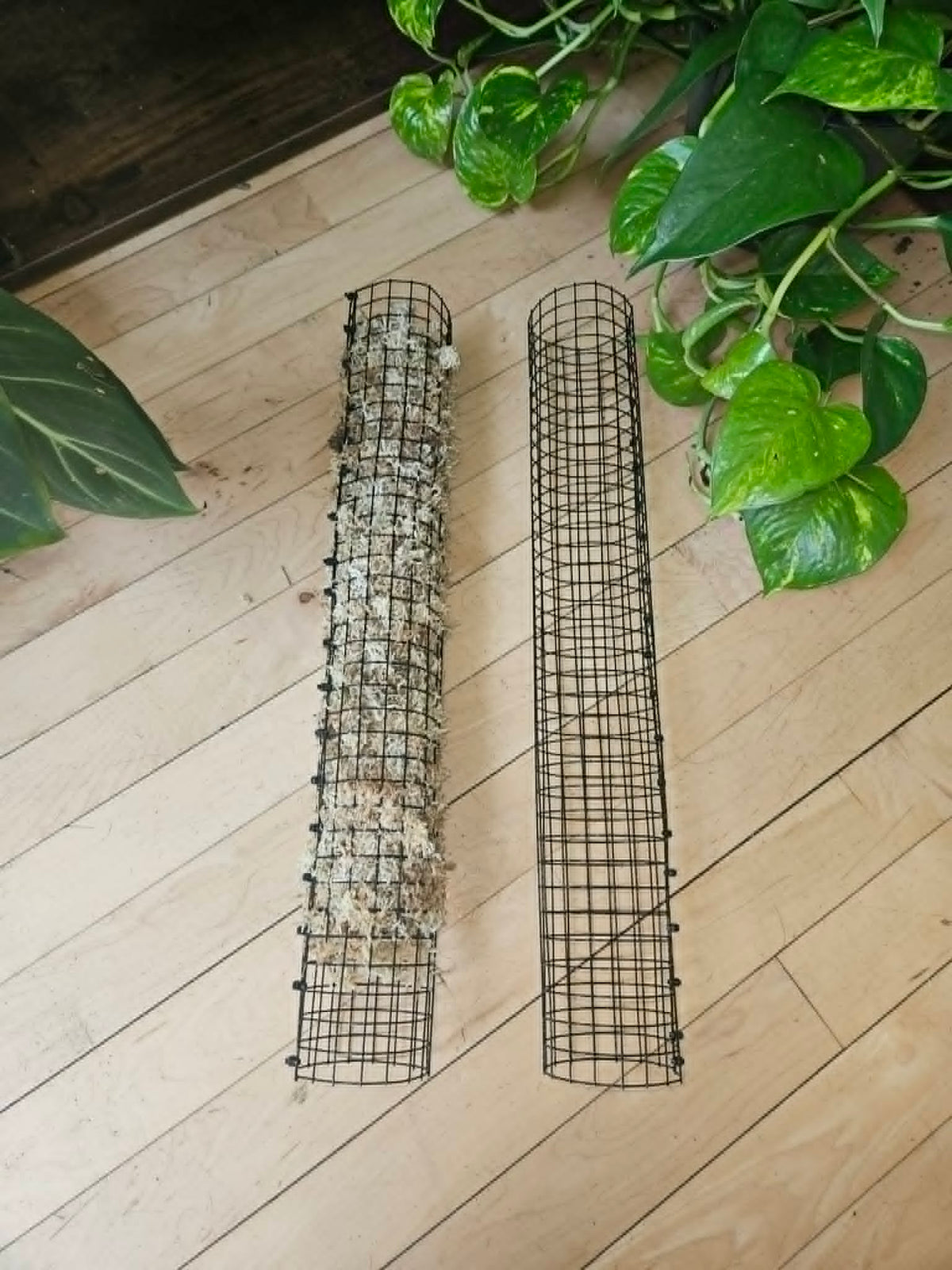 Stackable Wire Mesh Moss Pole 18 Inch
