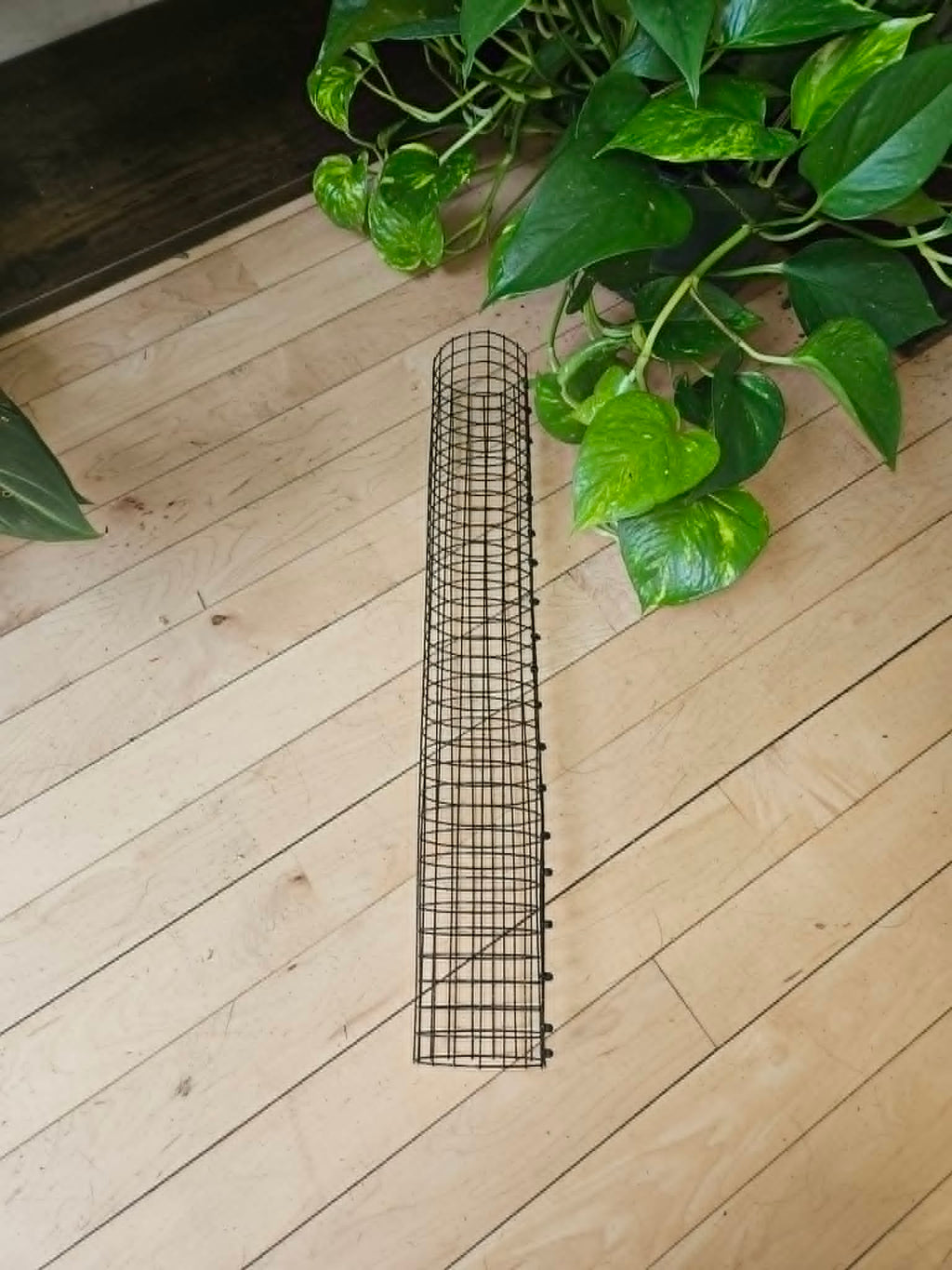 Stackable Wire Mesh Moss Pole 18 Inch