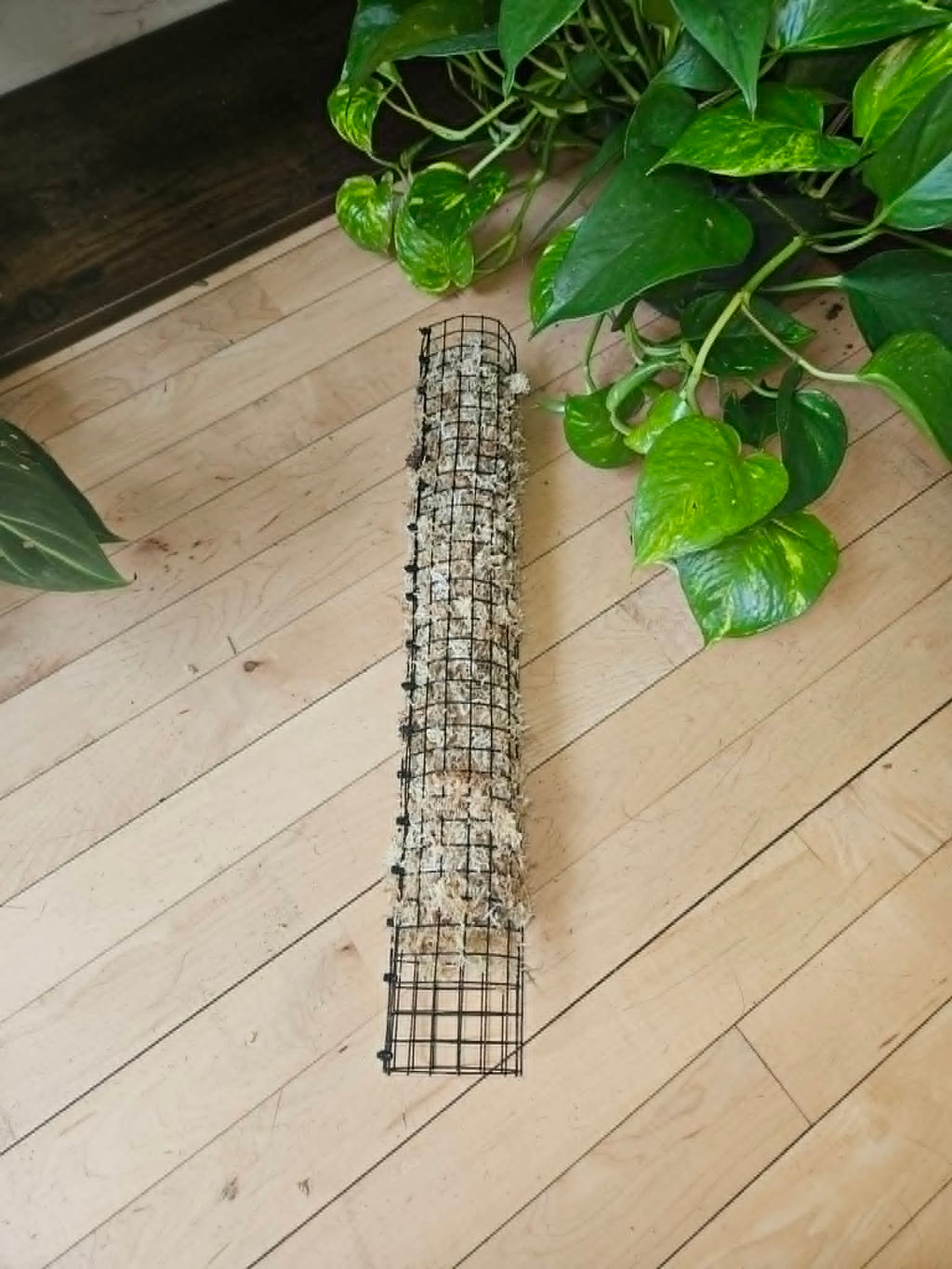 Stackable Wire Mesh Moss Pole 18 Inch