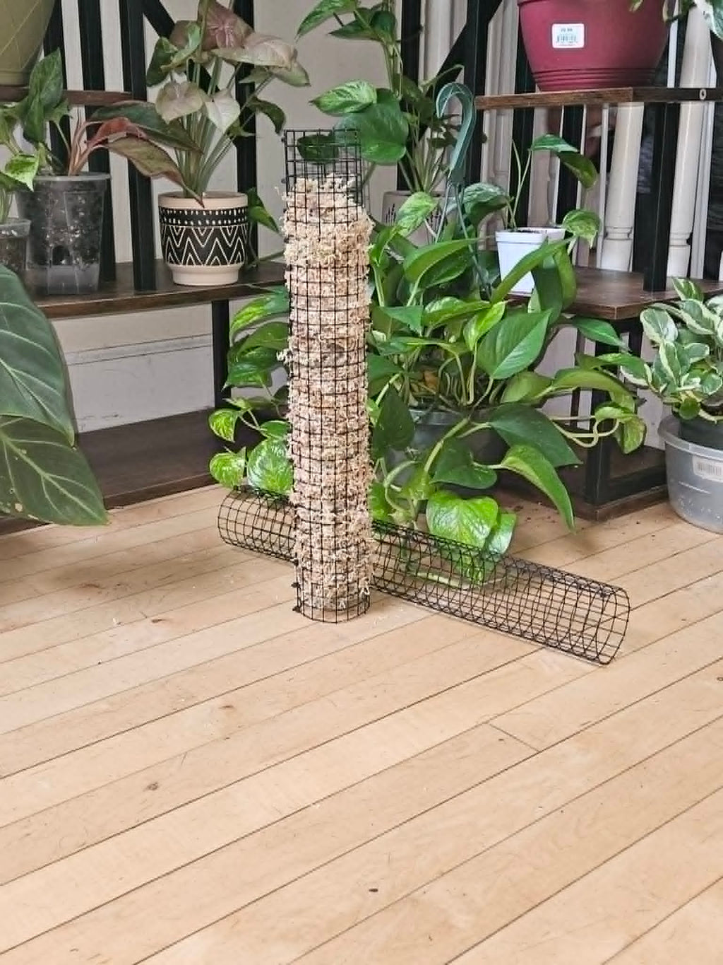 Stackable Wire Mesh Moss Pole 18 Inch