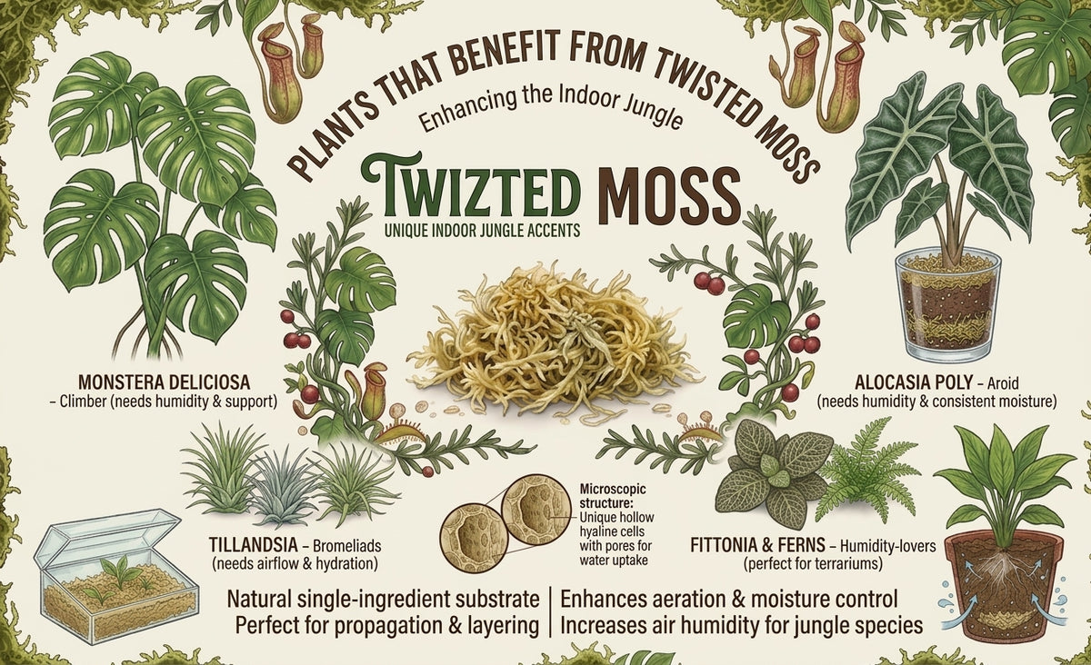 Twizted Premium Long-Fiber Sphagnum Moss
