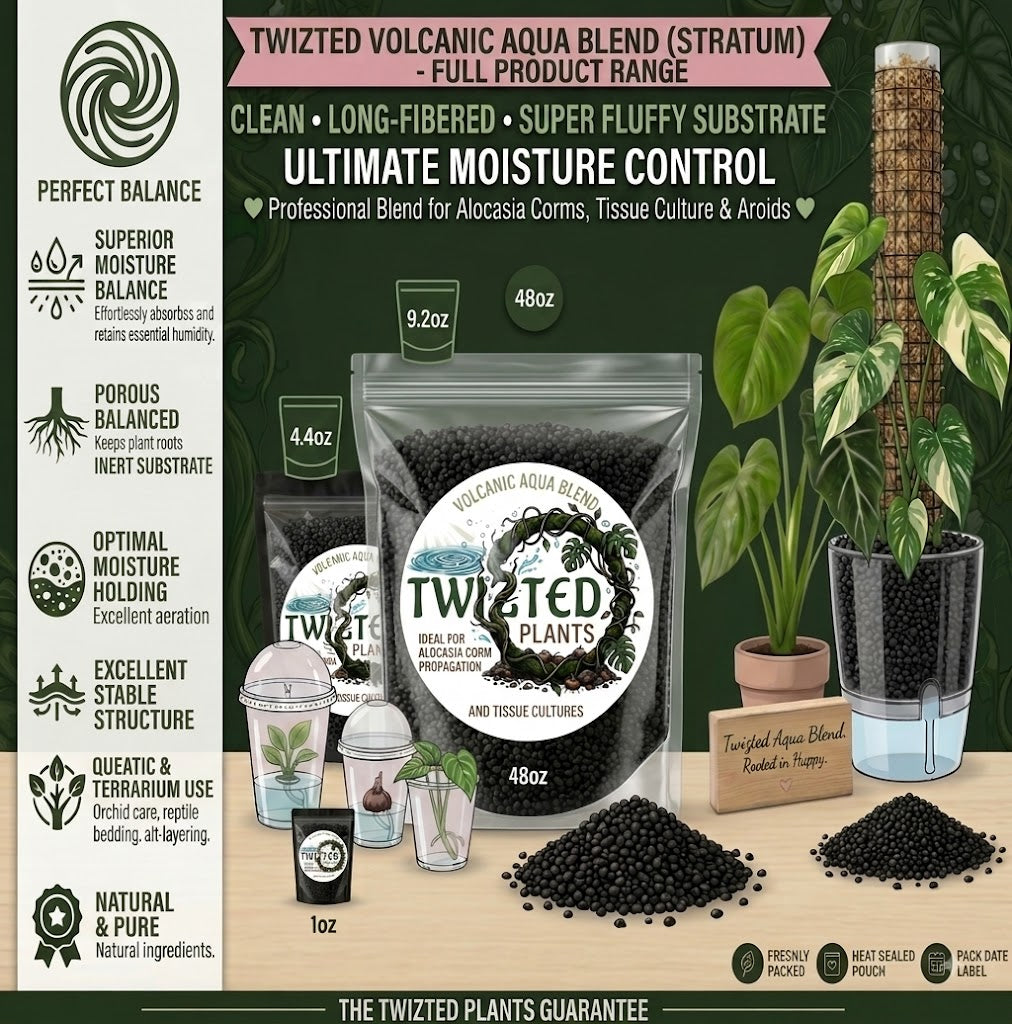 Volcanic Aqua Blend Stratum