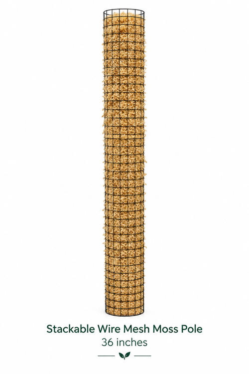 Mesh Moss Pole — Clean Product with Label