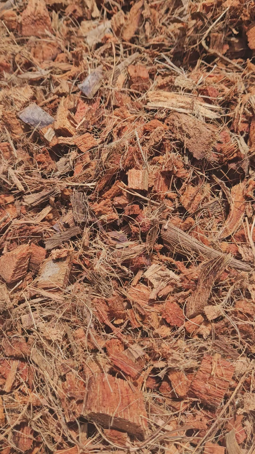 Twizted Premium Chunky Coco Chips