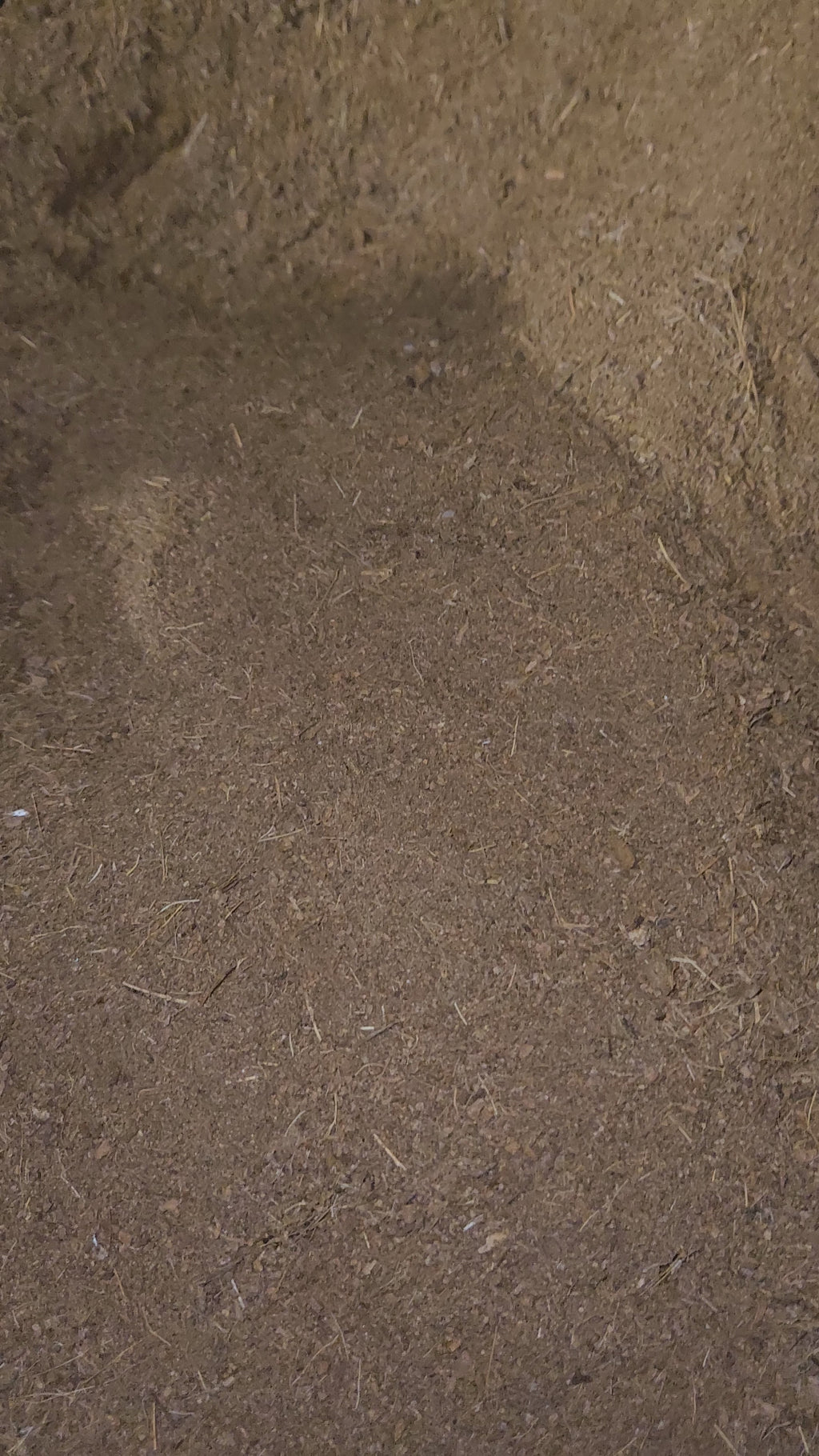 Twizted Premium Coconut Coir Substrate