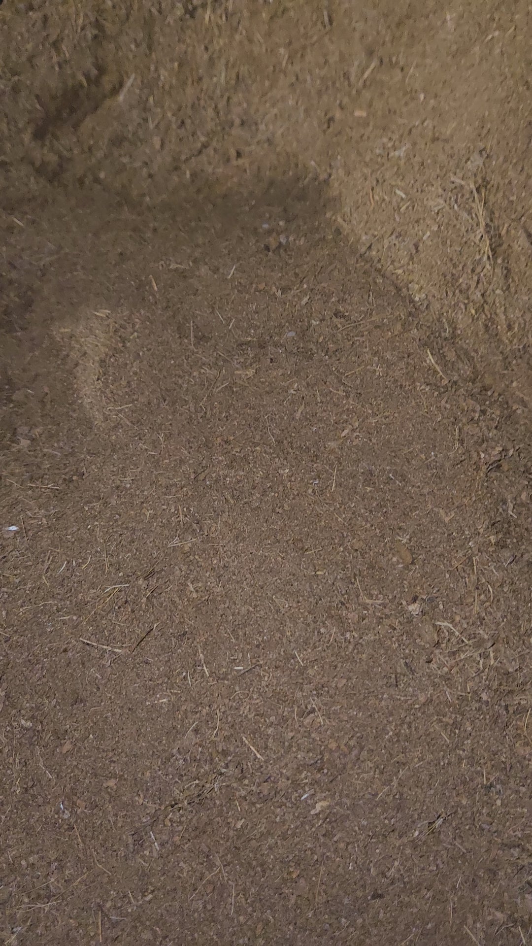 Twizted Premium Coconut Coir Substrate