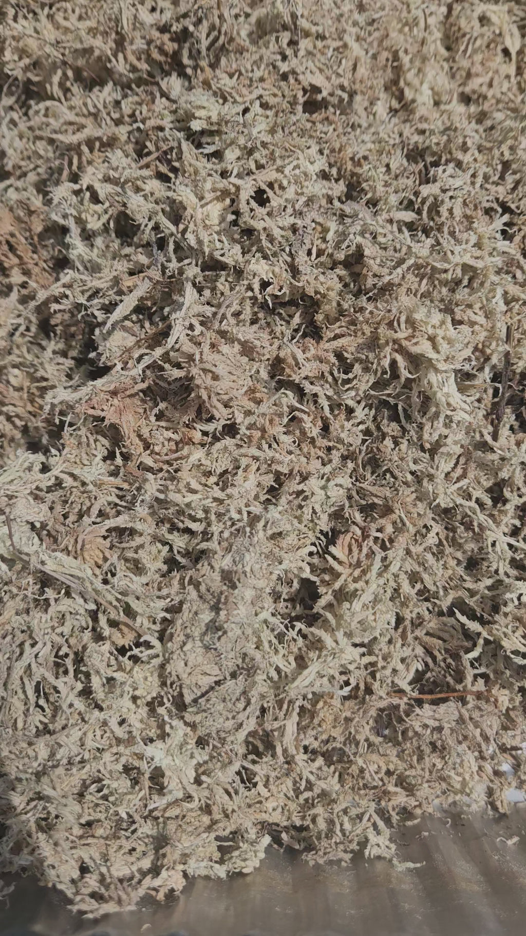 Twizted Premium Long-Fiber Sphagnum Moss