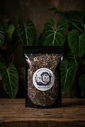 Twizted Roots Aroid & Alocasia Blend