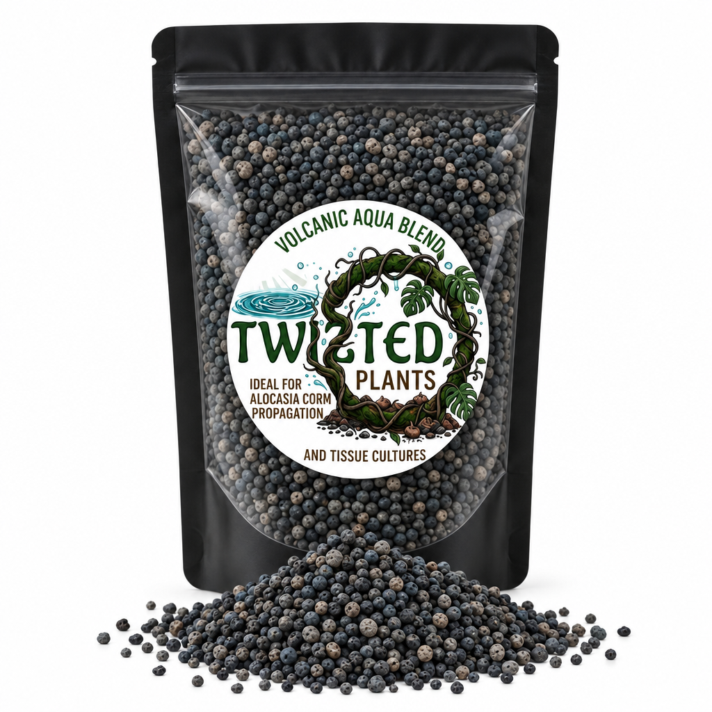 Volcanic Aqua Blend — Clean Bag